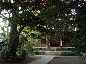 e0092221_21441313.jpg