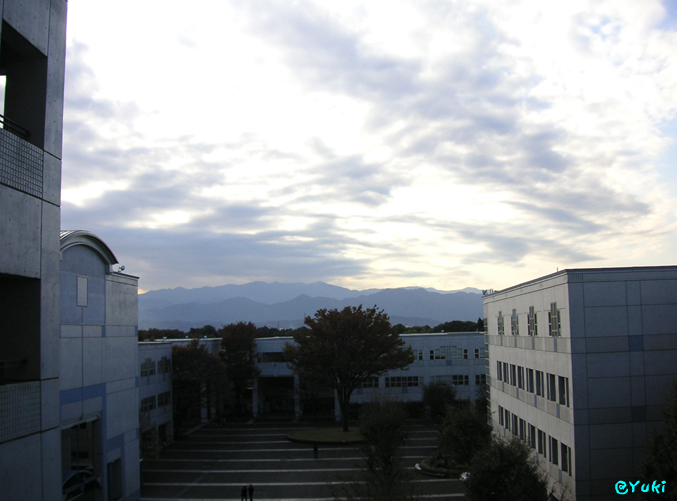 d0043925_23131145.jpg