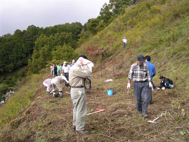d0024426_91474.jpg