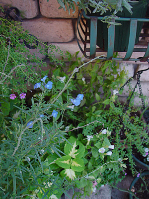 e0001735_23534212.jpg