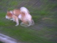 これだけ寒くなると。。。_c0049950_22144780.jpg