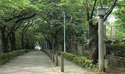d0063550_04847.jpg