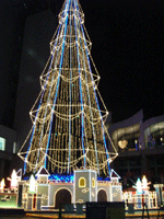 b0046357_142335.gif