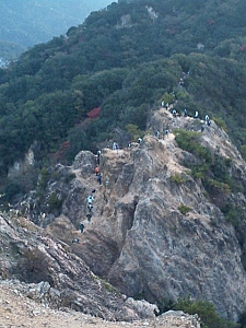 b0044663_12551113.jpg