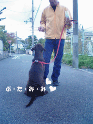 はまっちゃいました!_a0066192_2121397.gif