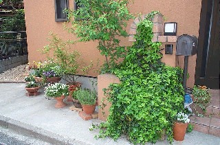 e0045792_21491950.jpg