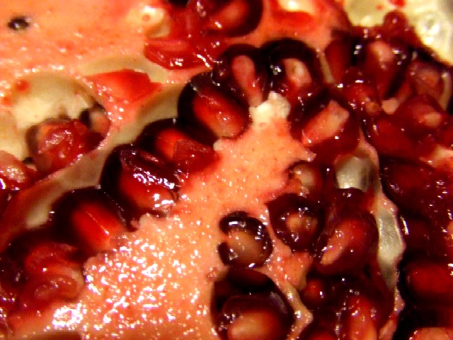 c0062603_17453498.jpg