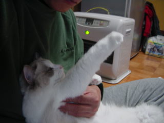 c0024410_20423828.jpg