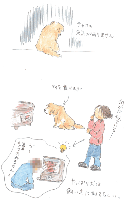 b0015222_849133.gif