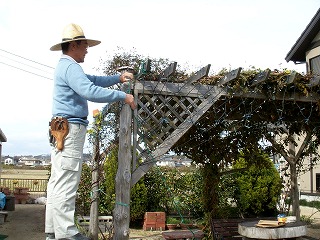 e0072023_2071018.jpg