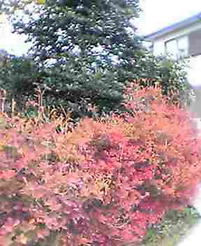 d0025725_22264415.jpg
