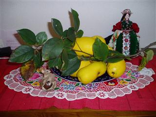 c0039428_20415026.jpg