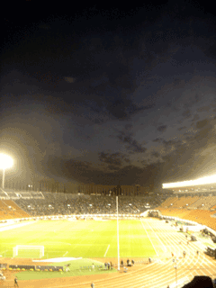 b0010831_0264518.gif