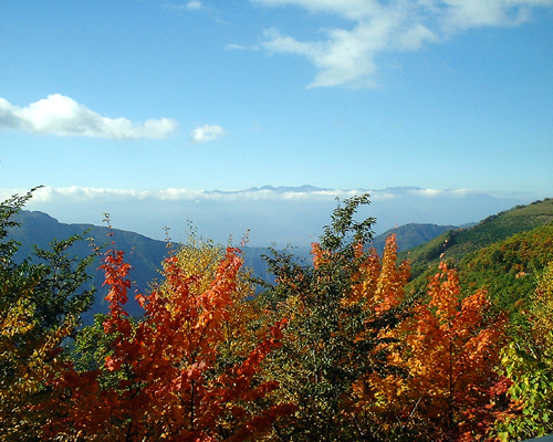 c0054876_635367.jpg