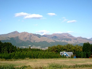 a0040103_2084263.jpg