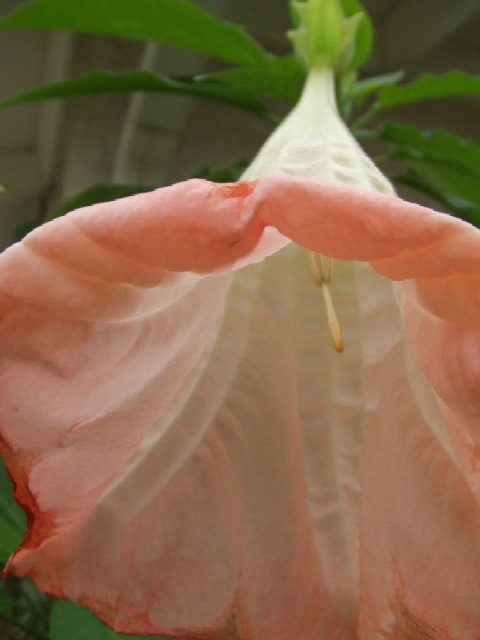c0062603_15511621.jpg