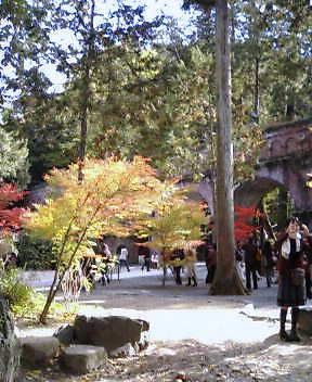 b0045709_16541980.jpg
