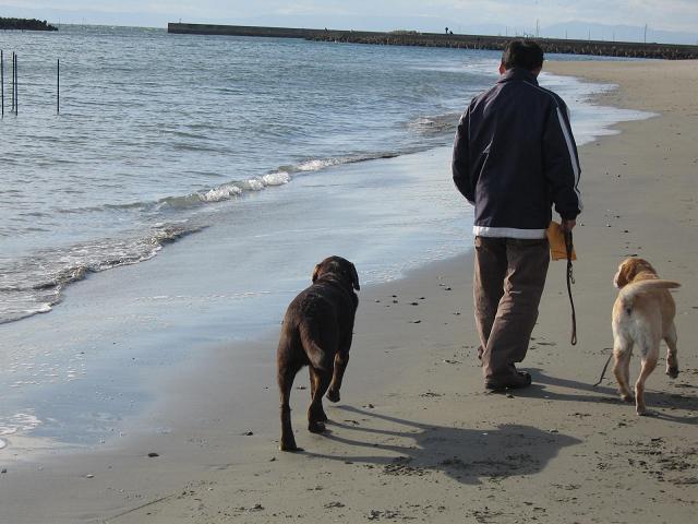 海遊び→シャンプー_d0058317_2362370.jpg