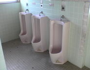 e0027219_1543424.jpg
