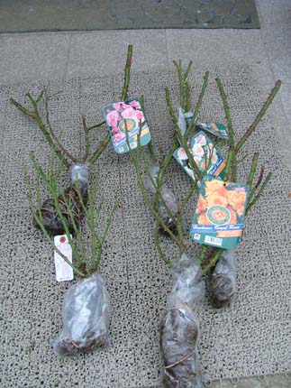 c0045227_21563299.jpg