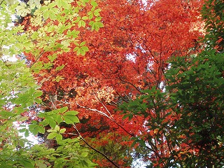 d0048350_2117718.jpg