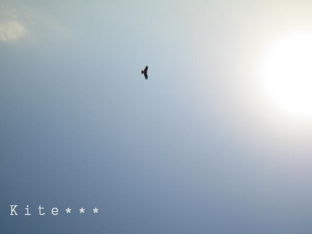 c0070968_2137940.jpg