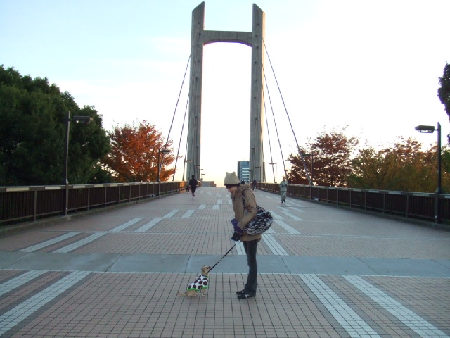 a0067882_23241451.jpg