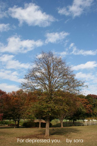 e0027083_10305472.jpg