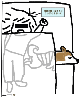 家ごと犬小屋化してます・・・うちも。_e0025596_2349152.gif