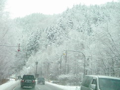 a0054504_2254033.jpg