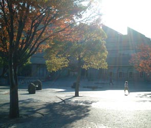 e0064409_18153950.jpg
