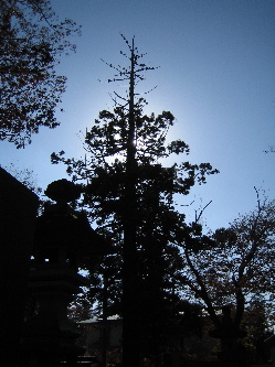 e0087511_0303692.jpg