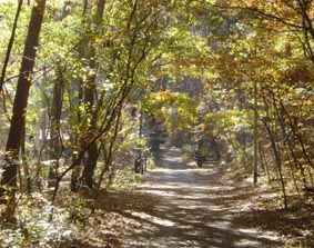c0047814_10594633.jpg