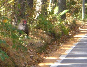 c0047814_10595657.jpg