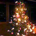 e0082319_2235448.jpg