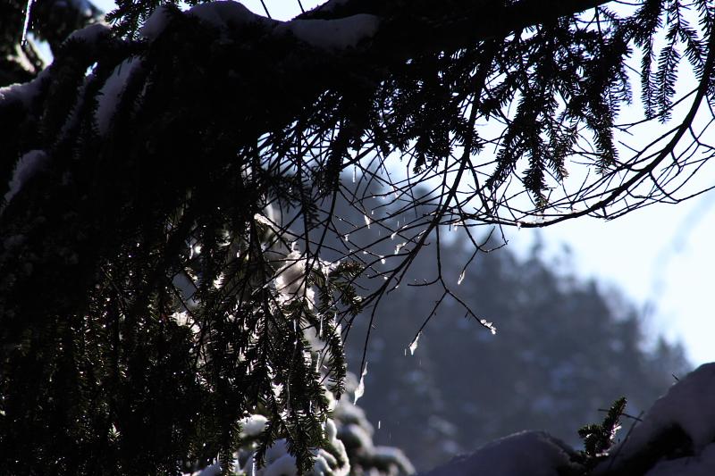 c0044720_2234515.jpg