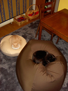e0058443_1649770.jpg