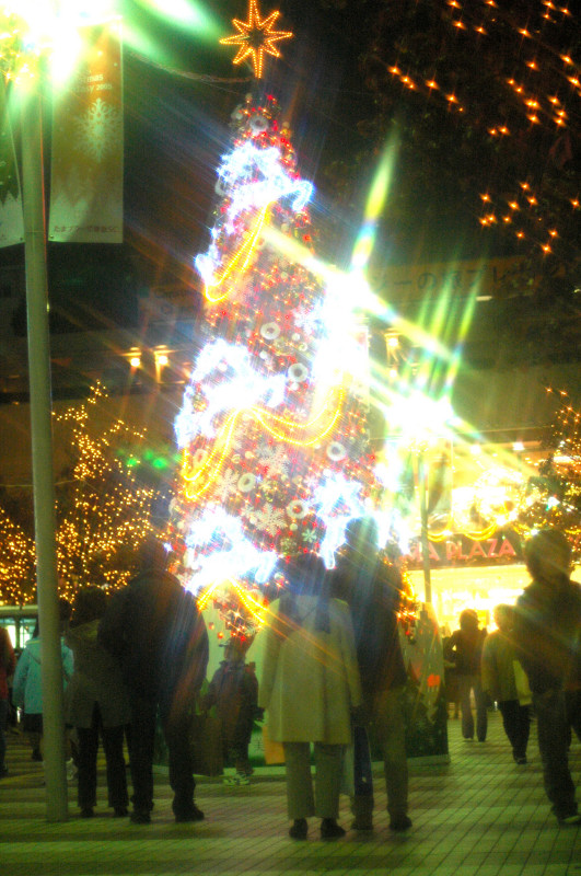 c0039145_21273912.jpg