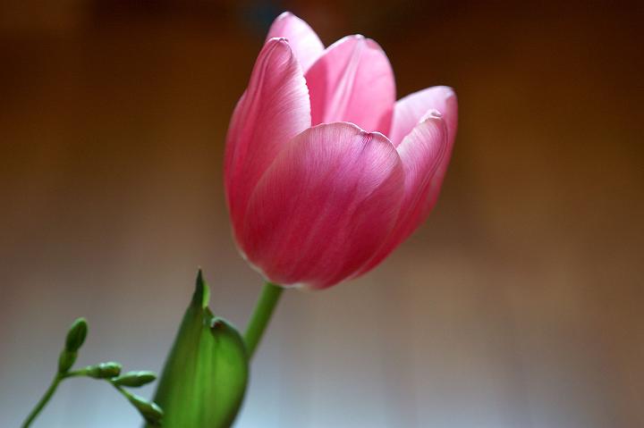 a0063552_7372343.jpg