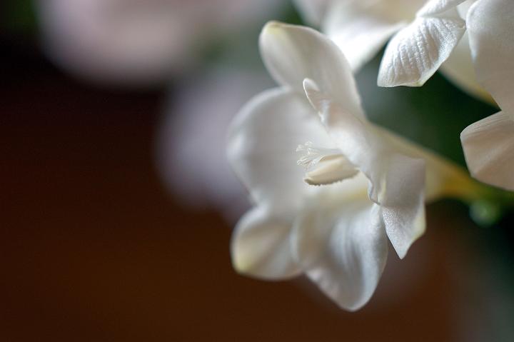 a0063552_738480.jpg