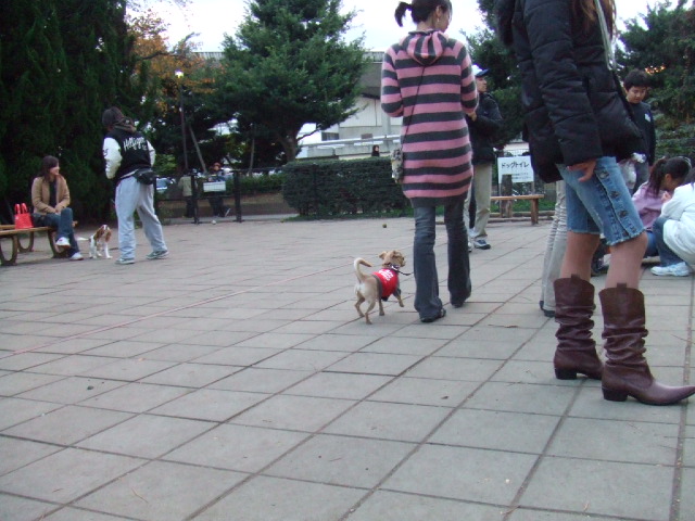 今日は駒沢公園です！_a0067882_23305864.jpg