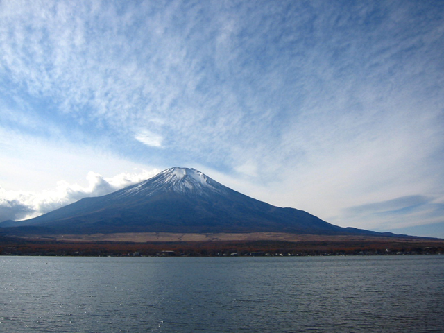 a0031406_059826.jpg