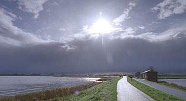c0015607_2063460.jpg