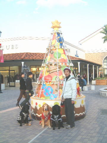 c0017311_8245682.jpg