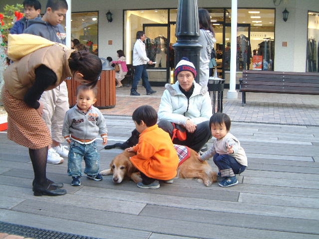 c0017311_8253778.jpg