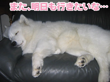 a0044521_0143240.jpg