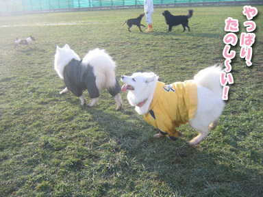 a0044521_043240.jpg