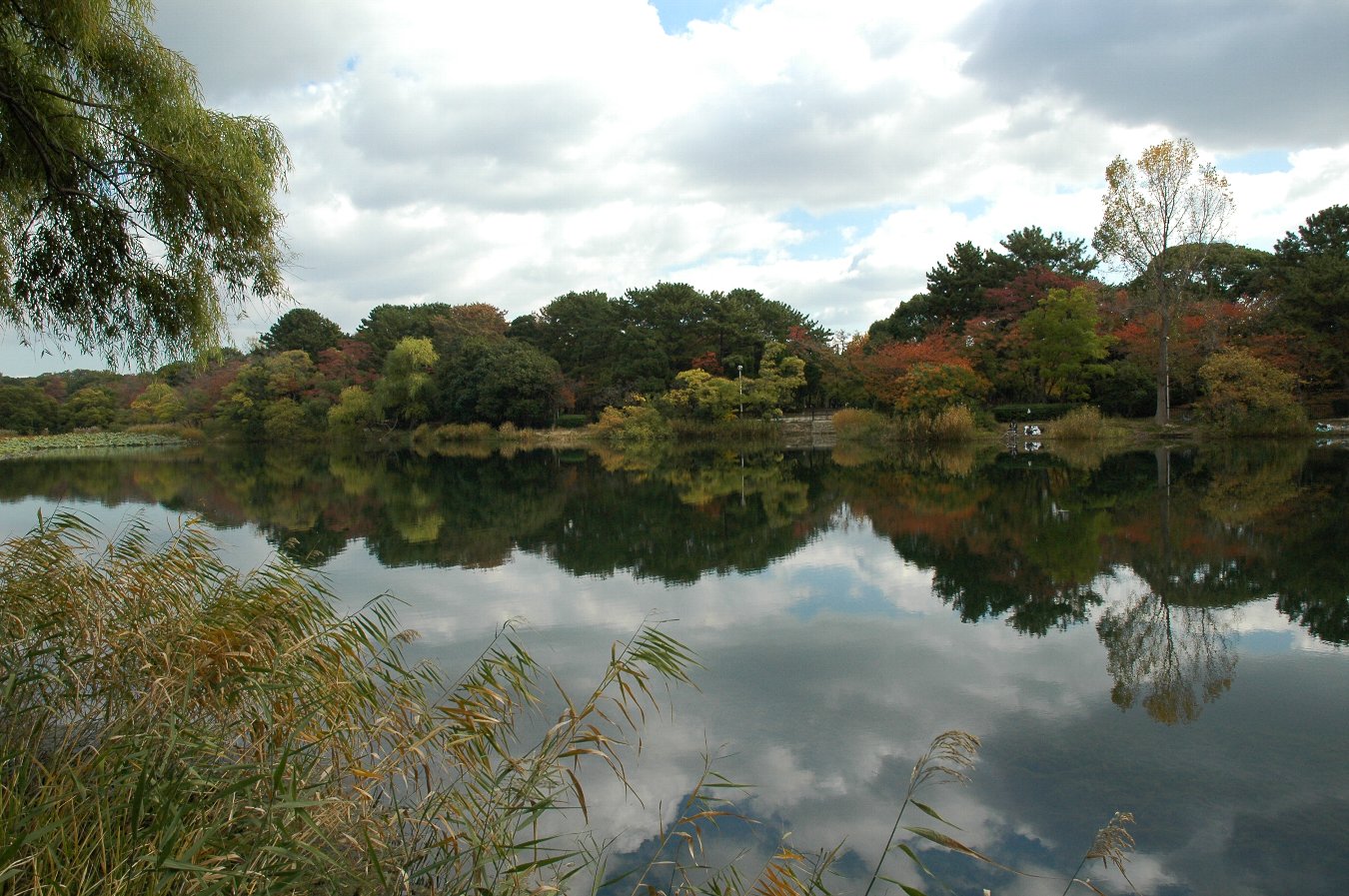 b0069128_039025.jpg