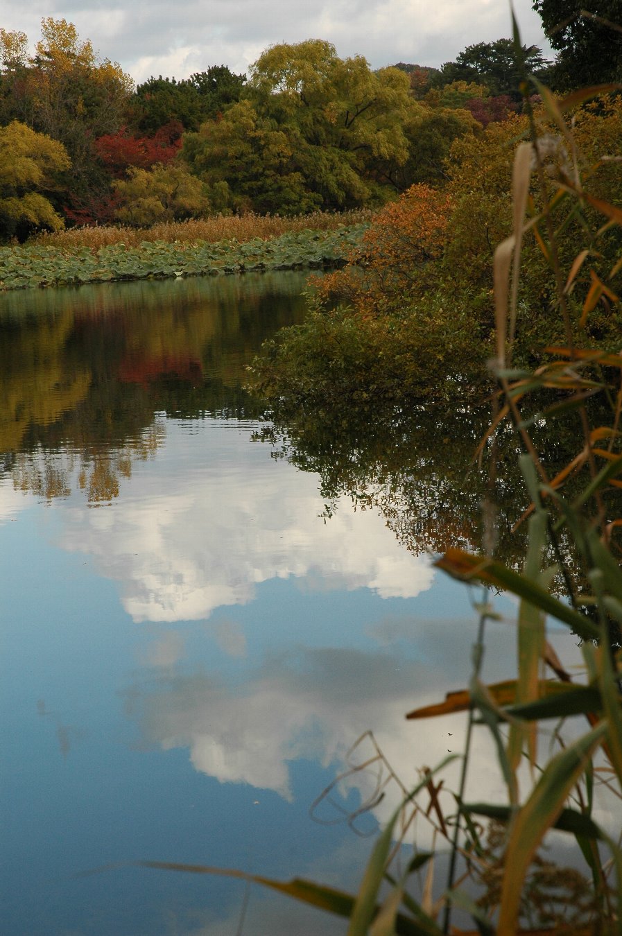 b0069128_050277.jpg