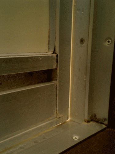 a0010836_10494425.gif